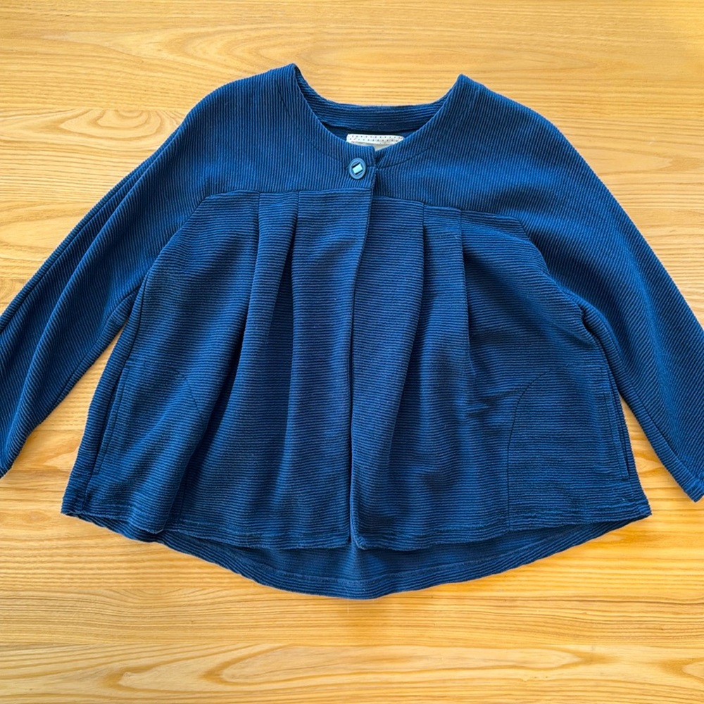 Blue Saturday Sunday (Anthropologie) Sweater